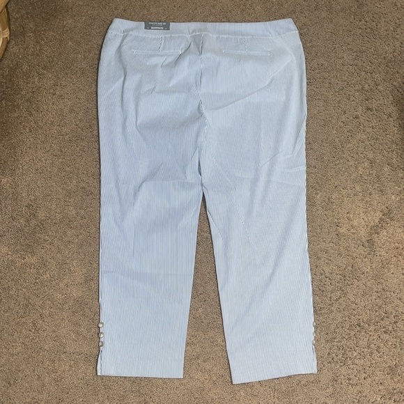 Chico’s So Slimming 360 Brigitte Slim Ankle Pant Icon Stripe Blue 20 - Picture 9 of 12